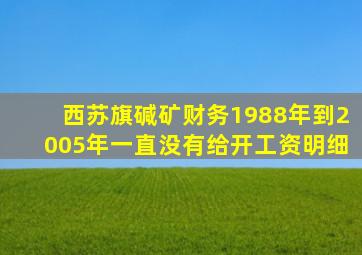 西苏旗碱矿财务1988年到2005年一直没有给开工资明细