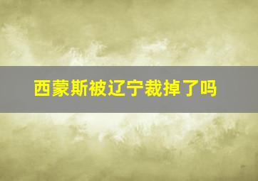 西蒙斯被辽宁裁掉了吗