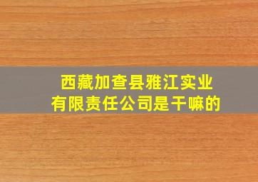 西藏加查县雅江实业有限责任公司是干嘛的