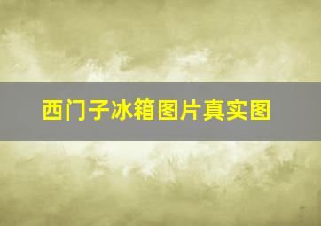 西门子冰箱图片真实图