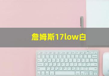 詹姆斯17low白