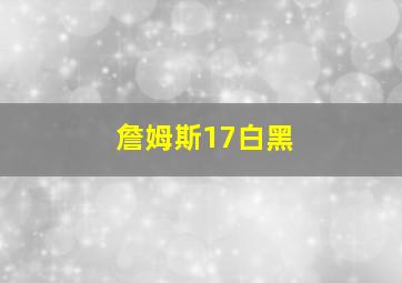 詹姆斯17白黑