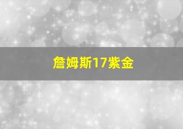 詹姆斯17紫金