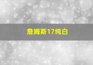 詹姆斯17纯白