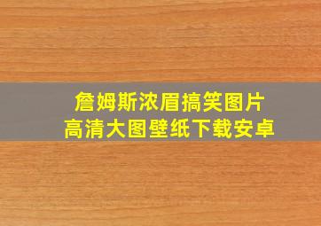 詹姆斯浓眉搞笑图片高清大图壁纸下载安卓