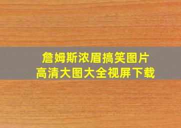 詹姆斯浓眉搞笑图片高清大图大全视屏下载