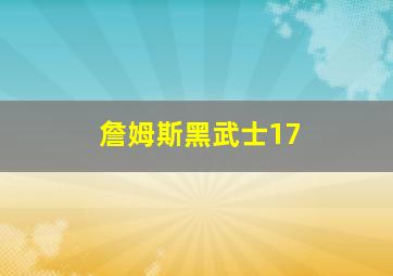 詹姆斯黑武士17