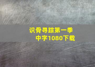 识骨寻踪第一季中字1080下载