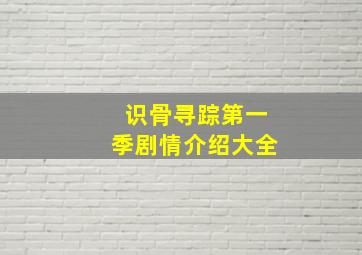 识骨寻踪第一季剧情介绍大全