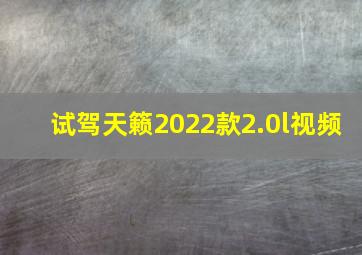 试驾天籁2022款2.0l视频