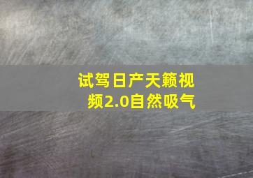 试驾日产天籁视频2.0自然吸气