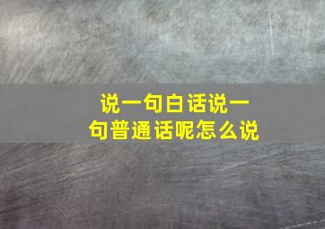 说一句白话说一句普通话呢怎么说