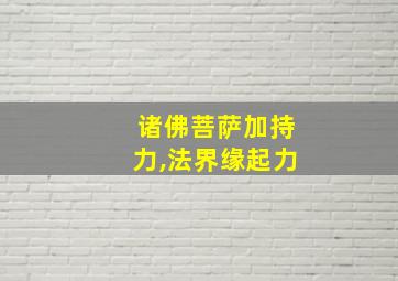 诸佛菩萨加持力,法界缘起力