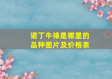 诺丁牛排是哪里的品种图片及价格表