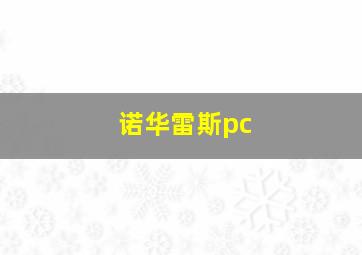 诺华雷斯pc