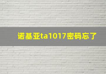 诺基亚ta1017密码忘了