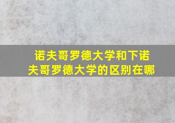 诺夫哥罗德大学和下诺夫哥罗德大学的区别在哪