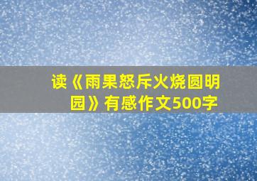 读《雨果怒斥火烧圆明园》有感作文500字