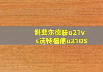 谢菲尔德联u21vs沃特福德u21DS