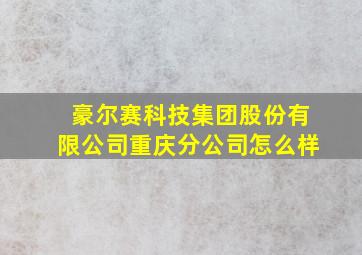 豪尔赛科技集团股份有限公司重庆分公司怎么样