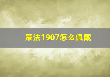 豪法1907怎么佩戴