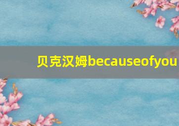 贝克汉姆becauseofyou