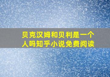 贝克汉姆和贝利是一个人吗知乎小说免费阅读