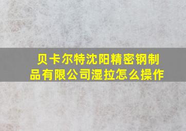 贝卡尔特沈阳精密钢制品有限公司湿拉怎么操作