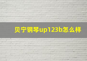 贝宁钢琴up123b怎么样