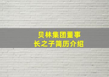 贝林集团董事长之子简历介绍