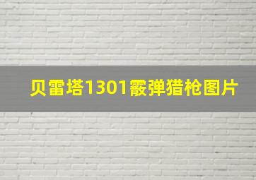 贝雷塔1301霰弹猎枪图片