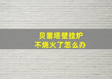 贝雷塔壁挂炉不烧火了怎么办