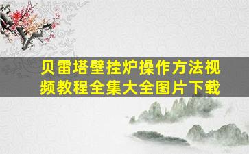 贝雷塔壁挂炉操作方法视频教程全集大全图片下载