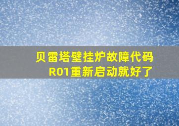 贝雷塔壁挂炉故障代码R01重新启动就好了