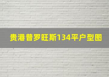 贵港普罗旺斯134平户型图