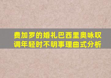 费加罗的婚礼巴西里奥咏叹调年轻时不明事理曲式分析