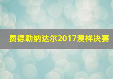 费德勒纳达尔2017澳样决赛