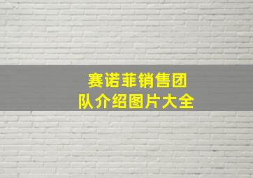 赛诺菲销售团队介绍图片大全