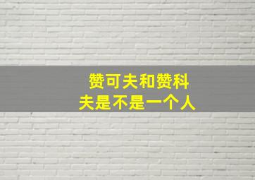 赞可夫和赞科夫是不是一个人