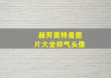 赫劳奥特曼图片大全帅气头像