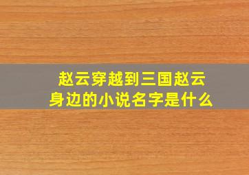 赵云穿越到三国赵云身边的小说名字是什么