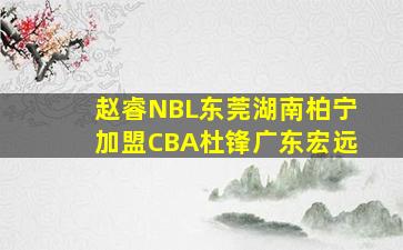 赵睿NBL东莞湖南柏宁加盟CBA杜锋广东宏远