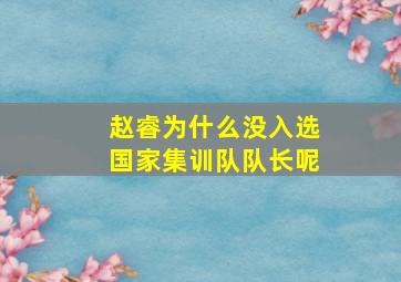 赵睿为什么没入选国家集训队队长呢