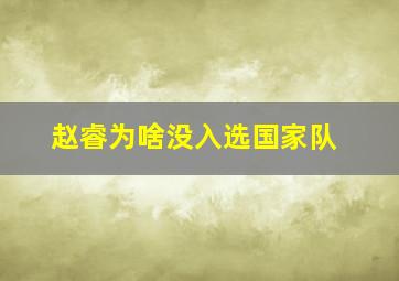 赵睿为啥没入选国家队