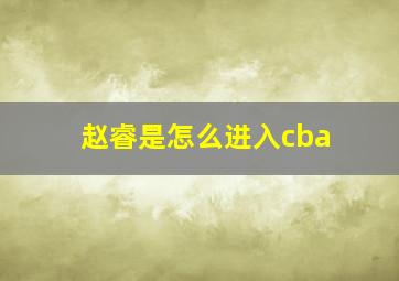 赵睿是怎么进入cba