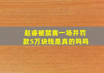 赵睿被禁赛一场并罚款5万块钱是真的吗吗