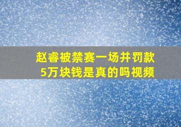 赵睿被禁赛一场并罚款5万块钱是真的吗视频