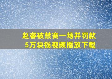 赵睿被禁赛一场并罚款5万块钱视频播放下载