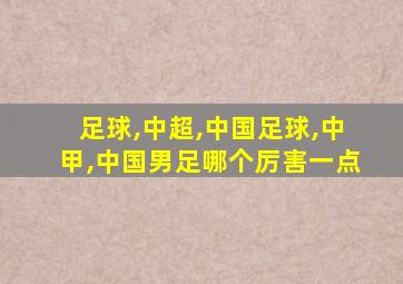 足球,中超,中国足球,中甲,中国男足哪个厉害一点