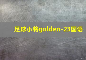 足球小将golden-23国语